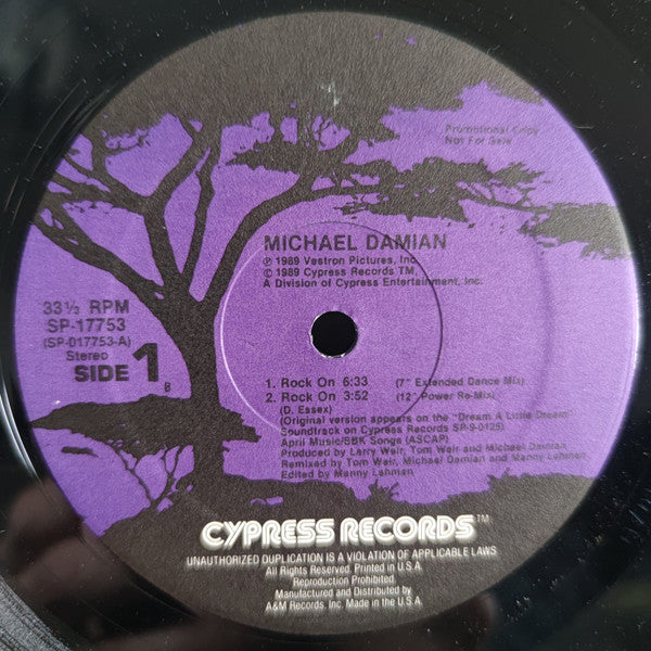 Michael Damian : Rock On (Dance Re-mix) (12", Promo)