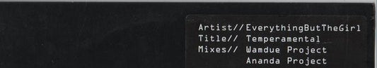Everything But The Girl : Temperamental  (12", Promo)