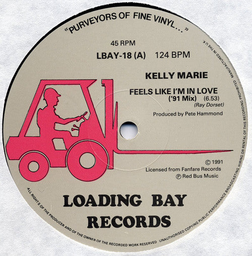 Kelly Marie : Feels Like I'm In Love (12")