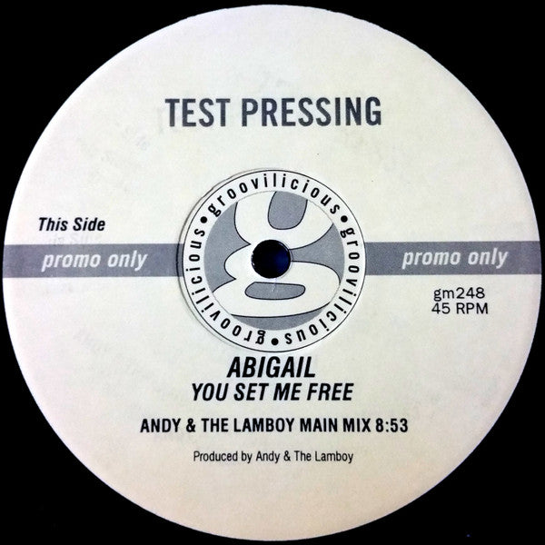 Abigail : You Set Me Free (12", Promo, TP)