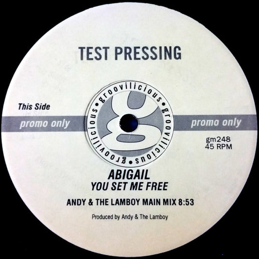 Abigail : You Set Me Free (12", Promo, TP)