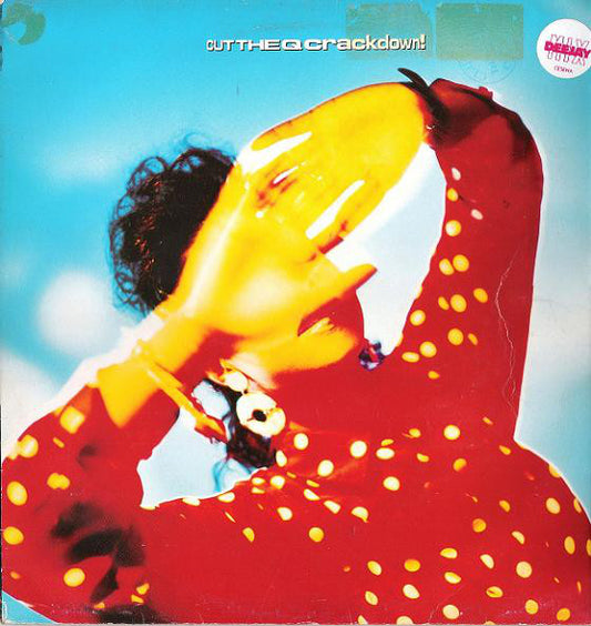 Cut The Q : Crackdown! (12")