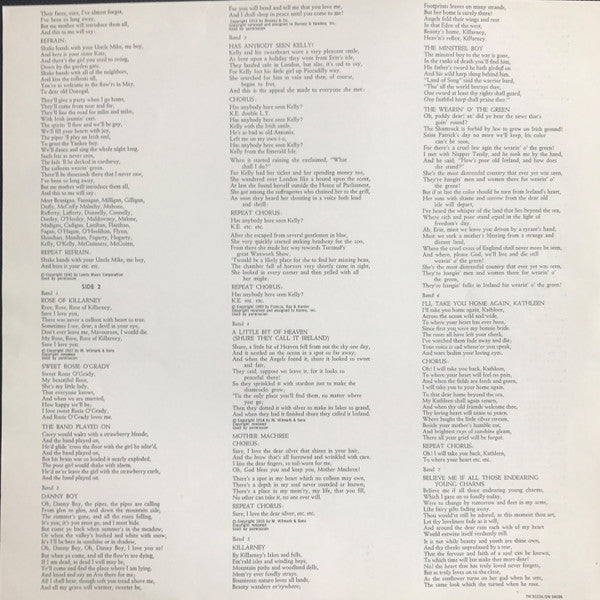 Denis Martin : Irish Sing-Along (LP, Album, Mono)