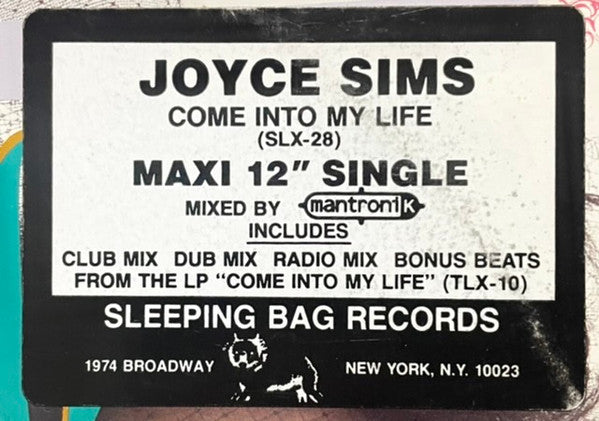 Joyce Sims : Come Into My Life (12", Promo)