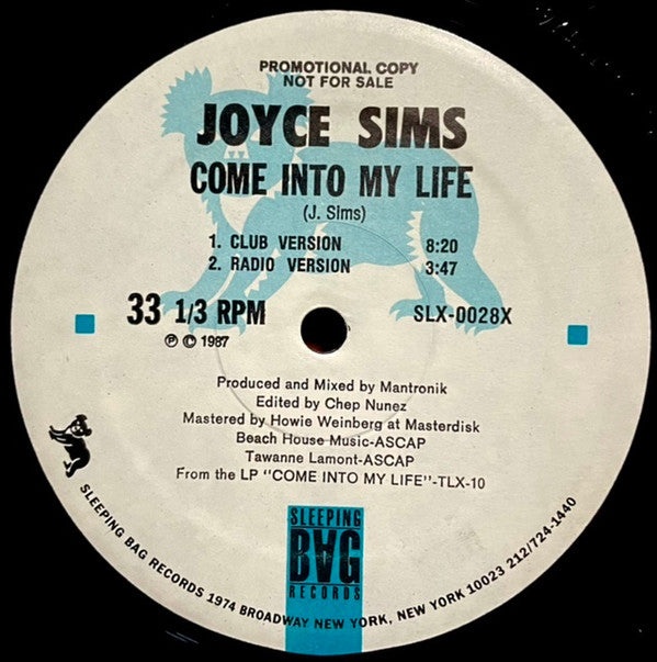Joyce Sims : Come Into My Life (12", Promo)