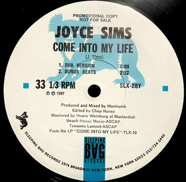 Joyce Sims : Come Into My Life (12", Promo)