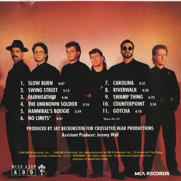 Spyro Gyra : Point Of View (CD, Album)
