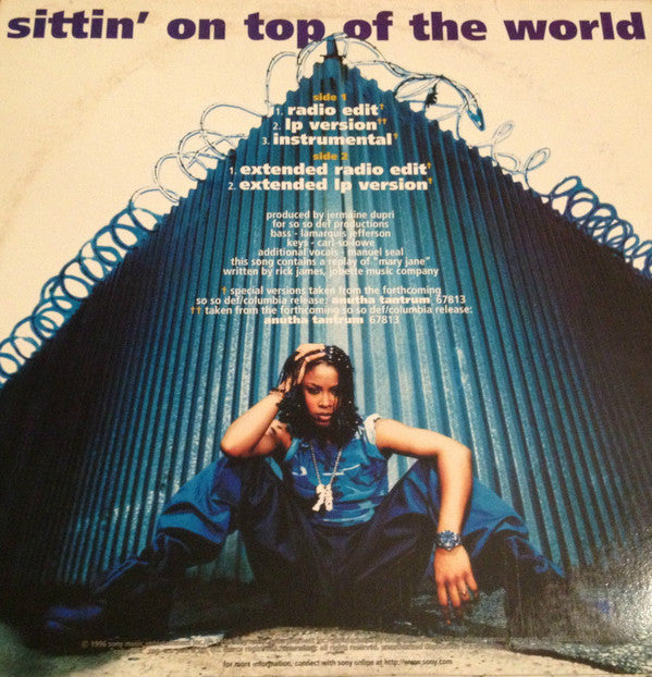 Da Brat : Sittin' On Top Of The World (12")