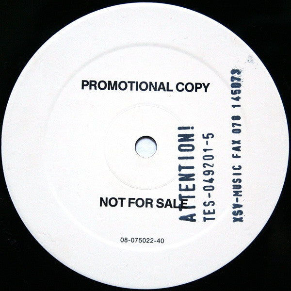 Terragon : Attention! (12", Promo)