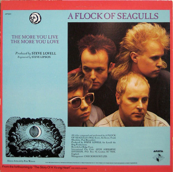 A Flock Of Seagulls : The More You Live, The More You Love (12", Single)