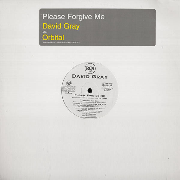 David Gray : Please Forgive Me (12", Promo)