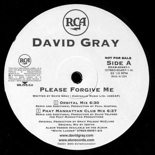 David Gray : Please Forgive Me (12", Promo)