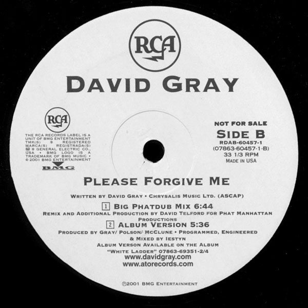David Gray : Please Forgive Me (12", Promo)