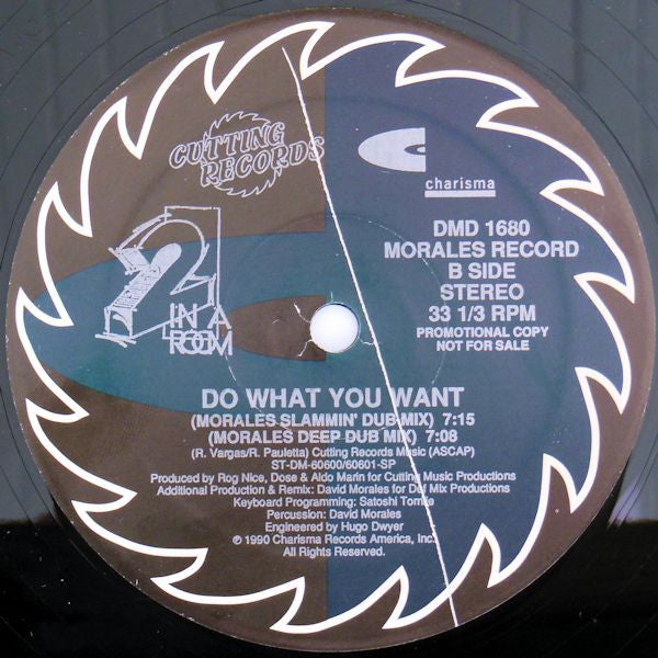 2 In A Room : Do What You Want (2x12", Promo, S/Edition)