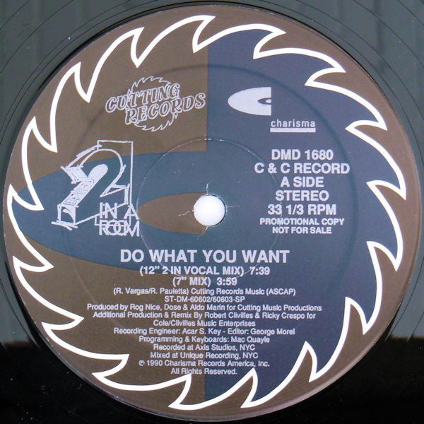 2 In A Room : Do What You Want (2x12", Promo, S/Edition)