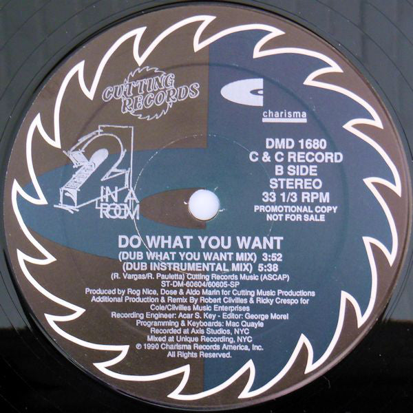 2 In A Room : Do What You Want (2x12", Promo, S/Edition)