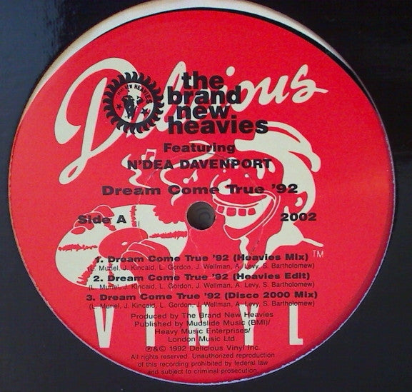 The Brand New Heavies : Dream Come True '92 (12", Promo)