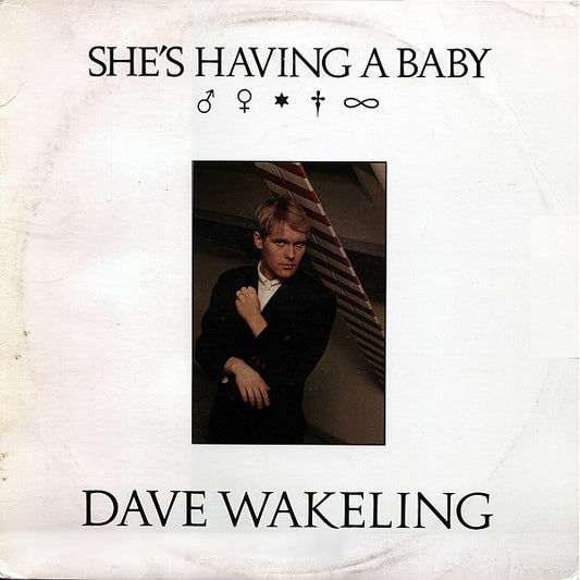 Dave Wakeling : She's Having A Baby (12", Pin)