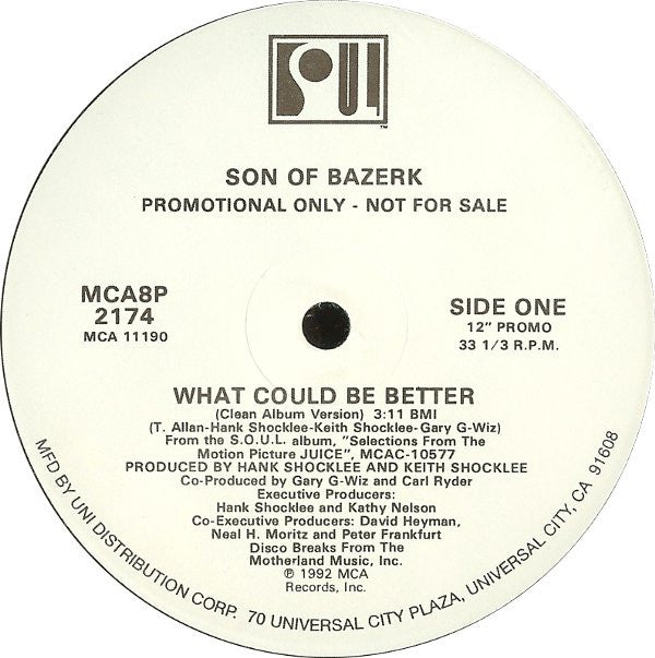 Son Of Bazerk : What Could Be Better (12", Promo)