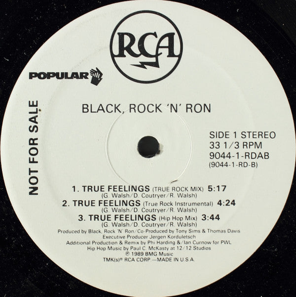 Black Rock & Ron : True Feelings (12", Promo)