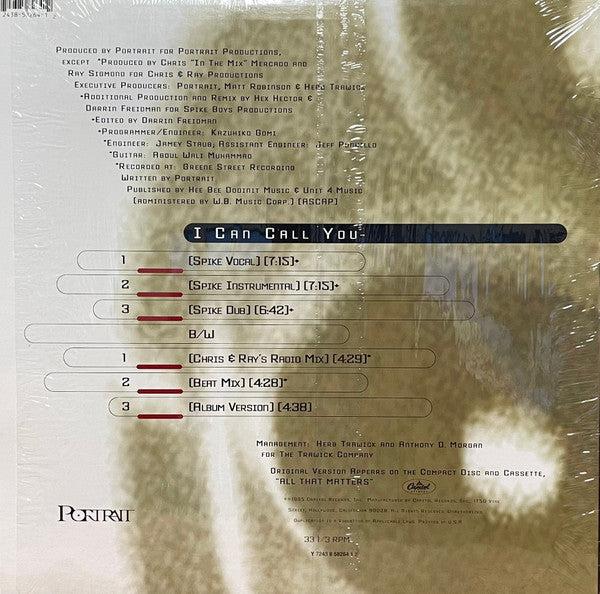 Portrait : I Can Call You (12", Single)