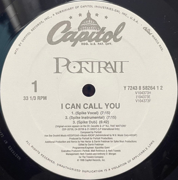 Portrait : I Can Call You (12", Single)