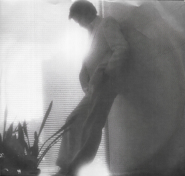 Dave Grusin And The NY-LA Dream Band : Dave Grusin And The N.Y. / L.A. Dream Band (LP, Album)