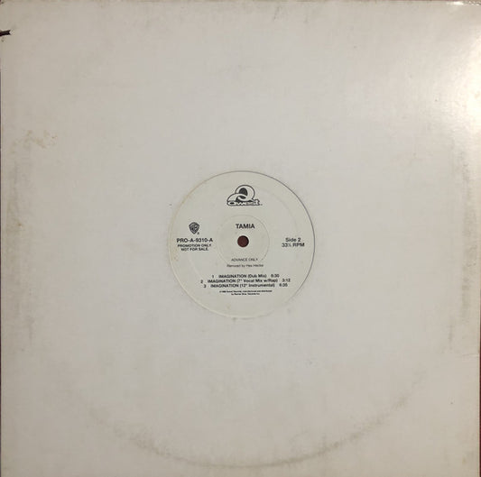 Tamia : Imagination (12", Promo)