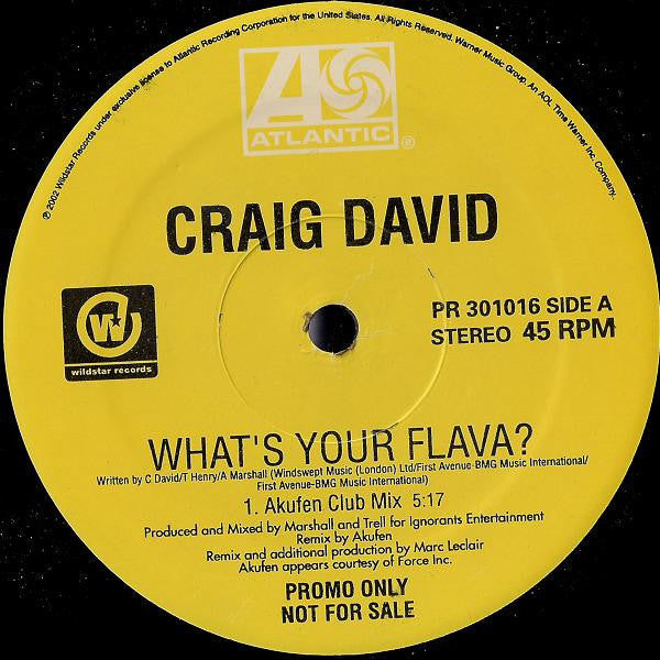 Craig David : What's Your Flava? (12", Promo)