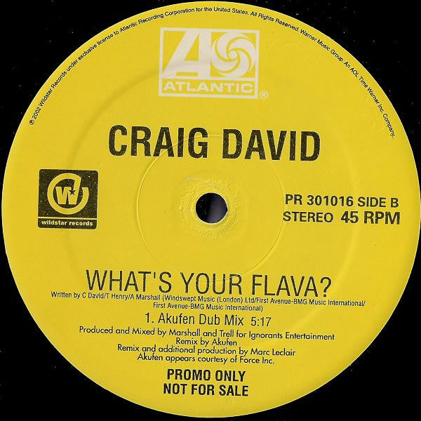 Craig David : What's Your Flava? (12", Promo)