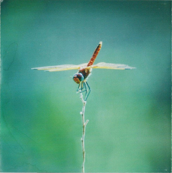 Brooke Ratliff : On The Wing (CD, Album)