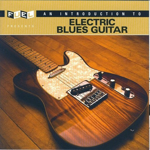 Various : An Introduction To Electric Blues Guitar (CD, Comp)