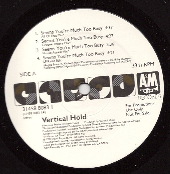 Vertical Hold : Seems You're Much Too Busy (12", Promo)