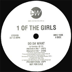 1 Of The Girls : Do Da What (12", Promo)