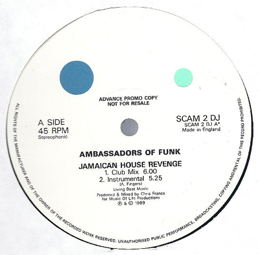 Ambassadors Of Funk : Jamaican House Revenge (12", Promo)