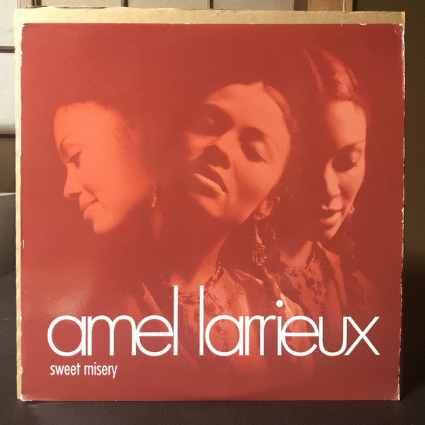Amel Larrieux : Sweet Misery (12", Promo)