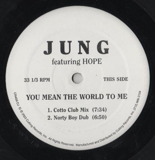 Jung (2) Featuring Hope (7) : You Mean The World To Me (12", Promo)