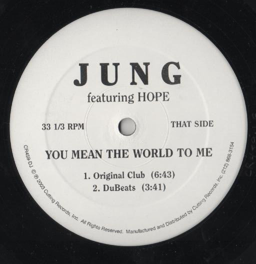 Jung (2) Featuring Hope (7) : You Mean The World To Me (12", Promo)