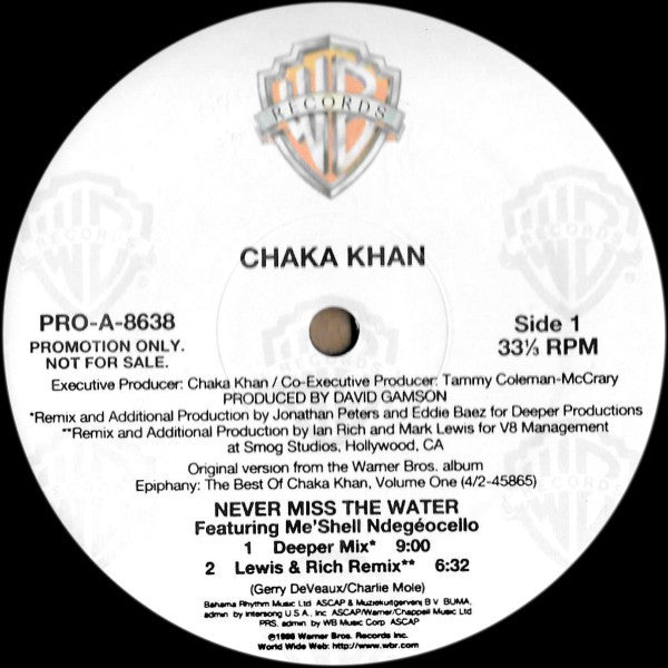 Chaka Khan : Never Miss The Water (12", Promo)