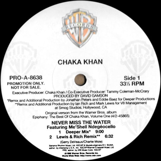 Chaka Khan : Never Miss The Water (12", Promo)