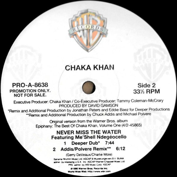 Chaka Khan : Never Miss The Water (12", Promo)