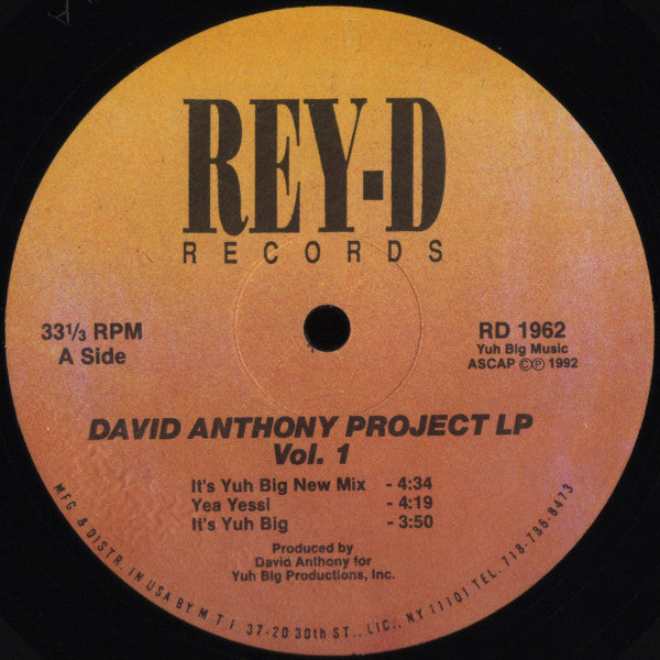 David Anthony : David Anthony Project LP Vol. 1 (LP)