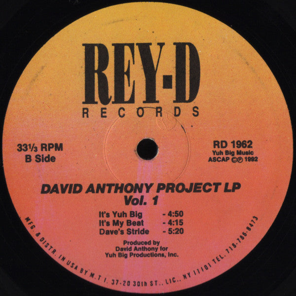 David Anthony : David Anthony Project LP Vol. 1 (LP)