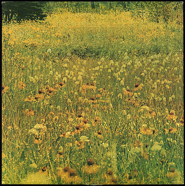 Harold Melvin And The Blue Notes : Wake Up Everybody (LP, Album, Ter)