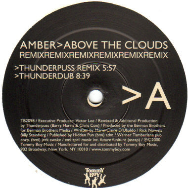 Amber : Above The Clouds (Remix) (12")