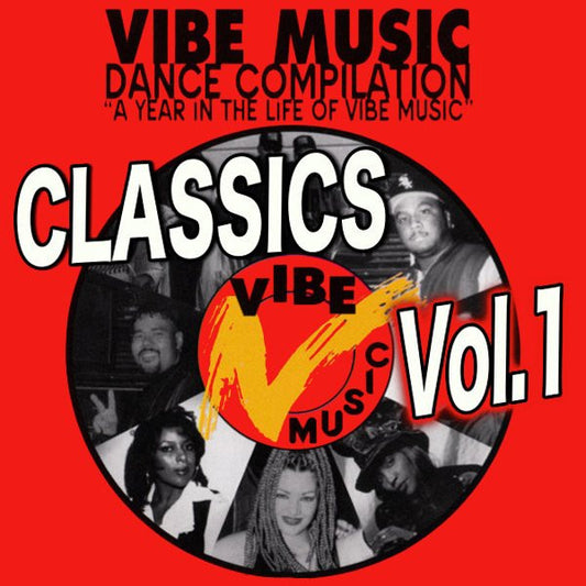 Various : Vibe Music Dance Compilation (A Year In The Life Of Vibe Music) (CD, Comp)