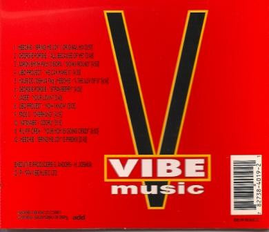 Various : Vibe Music Dance Compilation (A Year In The Life Of Vibe Music) (CD, Comp)