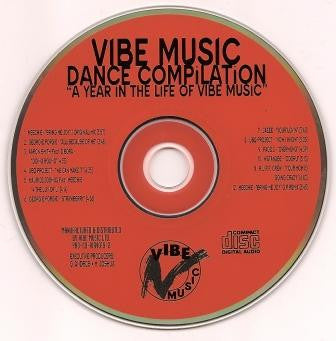 Various : Vibe Music Dance Compilation (A Year In The Life Of Vibe Music) (CD, Comp)