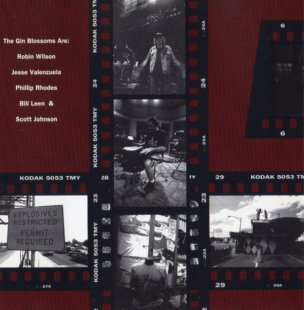 Gin Blossoms : New Miserable Experience (CD, Album, RE)