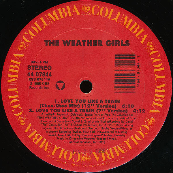 The Weather Girls : Love You Like A Train (12")